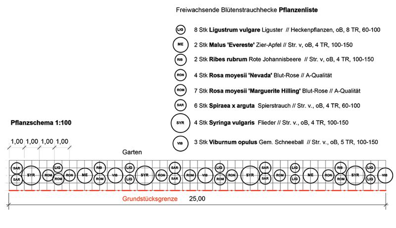 Pflanzschema freiwachsende Blütenstrauchhecke