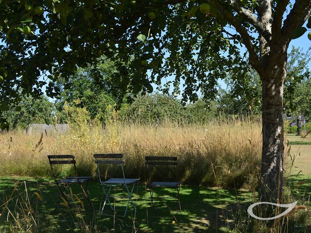 Apfelbäume als Schattenspender im Jardin Plume